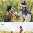 백일농장 이미지