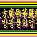 동진T.S