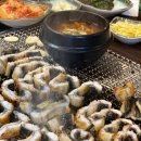 측백장어 이미지