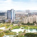 테라힐스 네이버블로그