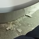 장자대로 | 경기도 구리시 장자대로111번길 (토평동 959) 변기 한...금지! 위층 변기 문제 완벽 해결 후기 – 백안누수