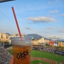 대지-생명 | 대전 야구장 한화생명볼파크 처음 직관 후기