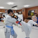 극진가라데 네이버블로그