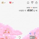 세환쇼핑 이미지