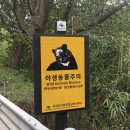 정동제 이미지