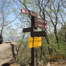 유림-1035 이미지