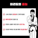제니스태권도장&아카데미