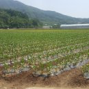 서진산업(주) 이미지