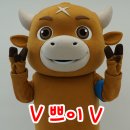 봄나드리투어 이미지