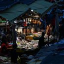 자갈치와 어머니 이미지