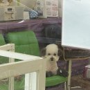 초아목장 | 울 때 셀카를 꼭 남겨요