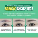 눈썹예쁘니 이미지