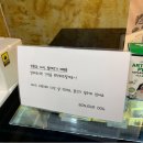 봉주르독 이미지