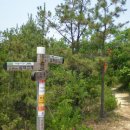 먹뱅이골 이미지