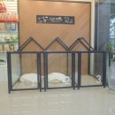 로로동물병원 이미지