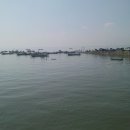 매향농장 이미지