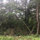 색달동-2 이미지