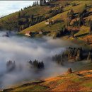 계곡사랑 이미지