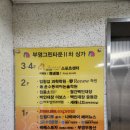 점프슛 | 목동 대형 키즈카페 추천 키즈런 스포츠파크 목동점 아이랑 후기