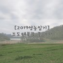 조도 참 해풍쑥