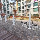 수루배 3단지 이미지