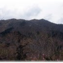 주작산 휴양림 티스토리