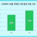 자이낸스