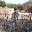 여주-0485 이미지