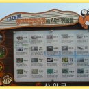 갯벌생태 체험장 이미지