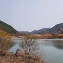 금평공원 이미지