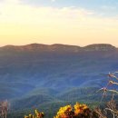 블루마운틴 이미지