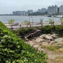 두송반도 이미지