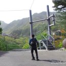 진산자연휴양림 이미지