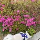 푸른종합동물병원 이미지