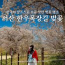 한우사랑목장 | 충남 서산 가볼만한곳 한우목장 웰빙산책로 벚꽃 실시간