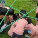 쌍용초등학교 병설유치원 이미지