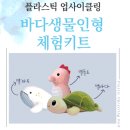 홍보인력공사 이미지