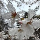 숲속펜션 이미지