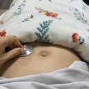 박동 | 임신 23주차 중기｜청진기로 태아 심장박동 들릴까? 직접 해본 결과(내돈내산)