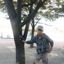 9월 13일 인천산악연맹 인천등반대회-문학산 이미지