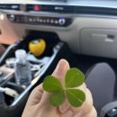 11650-16-36-1 | [둘째임신] 15주 ~ 36주, 출산일 D-1