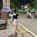 [비니가 와서 특별해진 나의 하노이 일상] 미딩 인생네컷