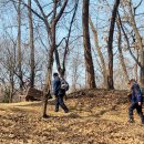 우면산3-23 이미지