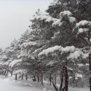 치래마을 이미지