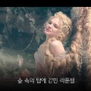 숲속으로 이미지