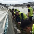 장수사과원예농업협동조합 이미지