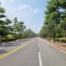 태양 양봉원 이미지