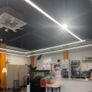 홍시 | 홍천:풀스테이 스테이펫 애견펜션 /홍시 카페 후기