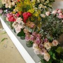 트윈박스 이미지