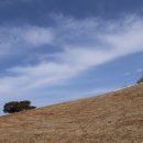 원당목장 이미지